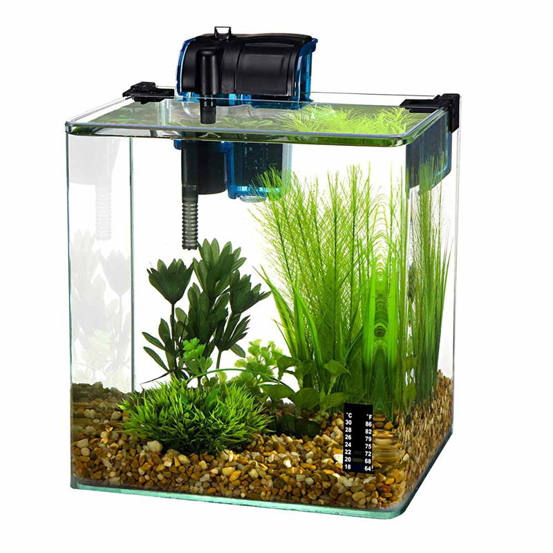 Tucker Murphy™ Pet Steck 5 Gallon Square Aquarium Tank Wayfair.ca
